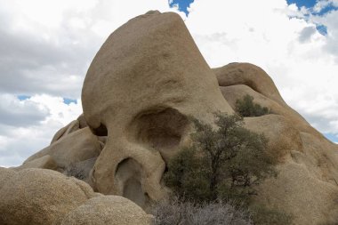 Skull Rock, Granitfelsen im Joshua Tree Nationalpark, Kalifornien, USA.   clipart