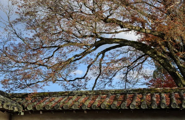 Gevallen Herfst Esdoorn Bladeren Japanse Tempel Dak Kyoto Japan — Stockfoto