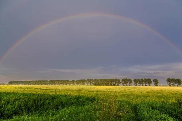 Arcobaleno Serale Nel Friesland Orientale — Foto Stock