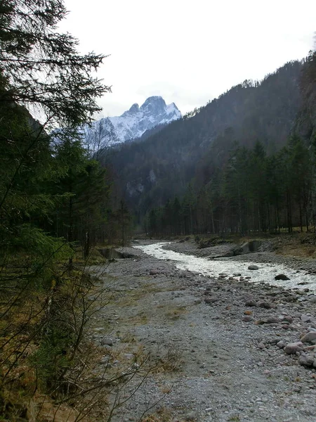 Pemandangan Taman Nasional — Stok Foto