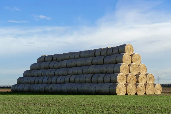 Gedroogde Hooibalen Als Voer — Stockfoto