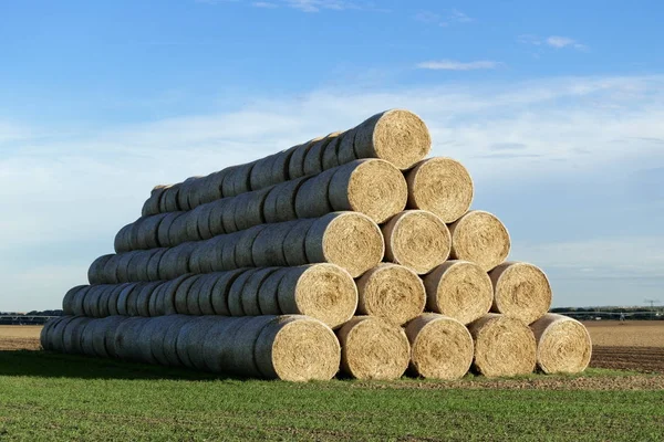 Dried Hay Bales Feed — Stock Photo, Image