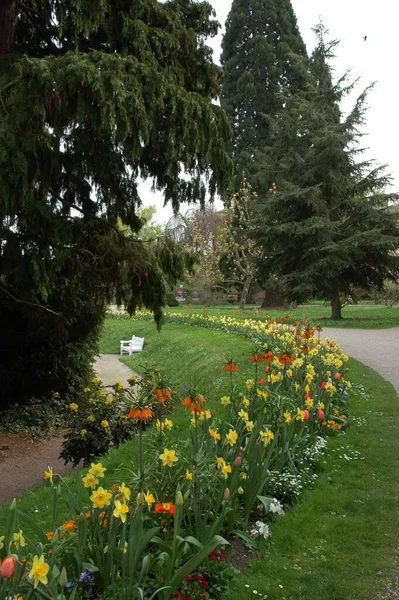 Flowerbed Schlossgarten Karlsruhe — Foto de Stock