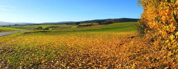 Vista Pittoresca Bellissimo Paesaggio Autunnale — Foto Stock