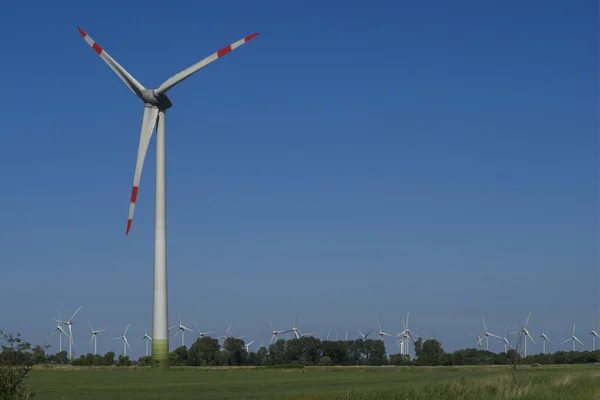 Frisia Oriental Cerca Nessmersiel Costa Del Mar Del Norte Parque — Foto de Stock