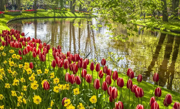 Keukemhof Romantisch Blühende Gärten Landschaft Lisse Holland — Stockfoto