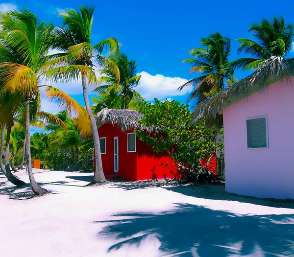 View Colorful Houses Coconut Palms White Sand Tropical Island Catalina — Stock Photo, Image