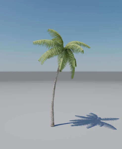 Palma Kokosowa Tropikalnej Plaży — Zdjęcie stockowe