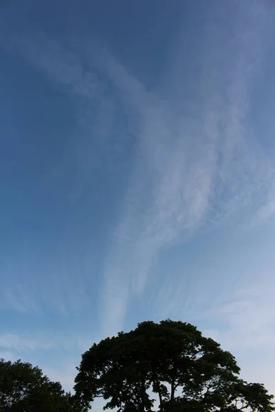 Abstraktní Chemtrails Čáry Obloze Chemtrails Konspirační Teorie — Stock fotografie