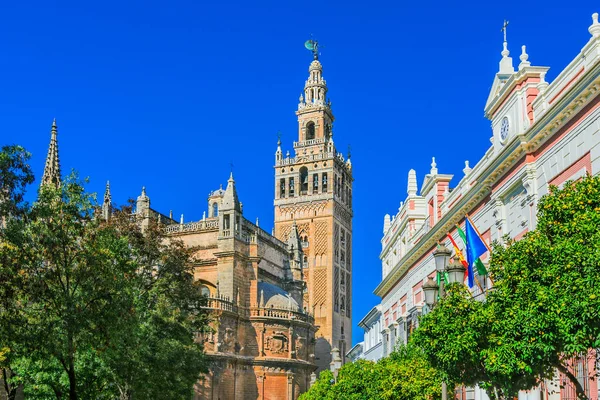 Santa Maria Sede Katedrali Nin Sokak Manzarası Giralda Çan Kulesi — Stok fotoğraf