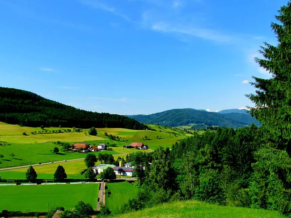 Black Forest Landscape Haslach Ortenaukreis — Stockfoto