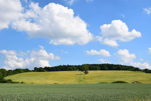 Vue Pittoresque Nature Scène — Photo