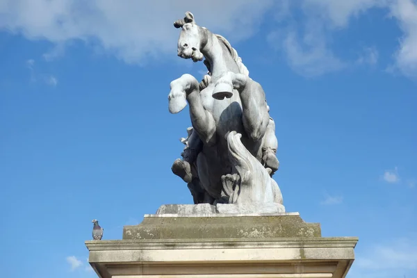 Estátua Equestre Frente Louvre Paris — Fotografia de Stock