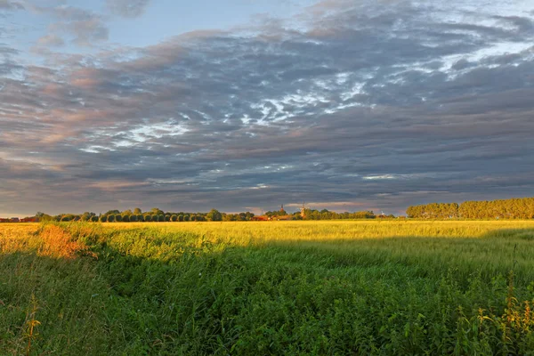 Krásná Večerní Obloha Náladová Obloha — Stock fotografie