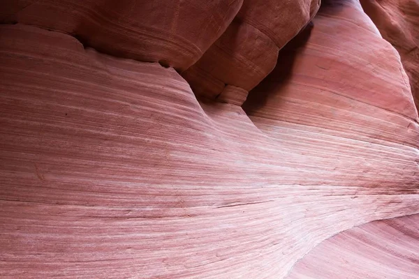 Wire Pass Slot Canyon Paria Canyon Vermilion Cliffs Wilderness Utah — Stok fotoğraf