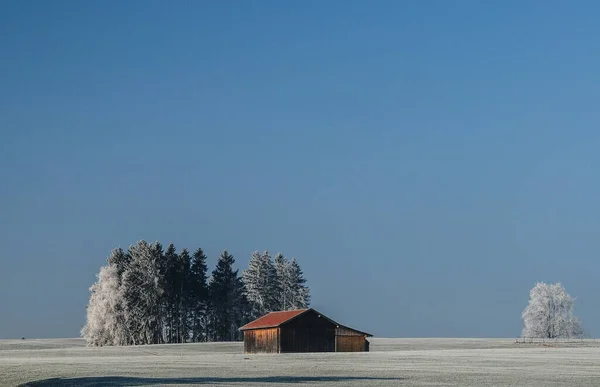 Vista Pitoresca Paisagem Inverno Coberto Neve — Fotografia de Stock