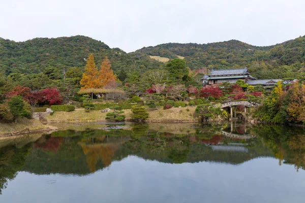 Japansk Trädgård Naturflora — Stockfoto