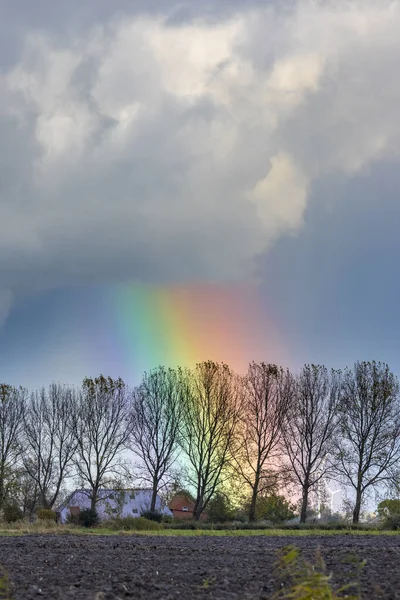 Curcubeu Colorat Prin Reflecție — Fotografie, imagine de stoc