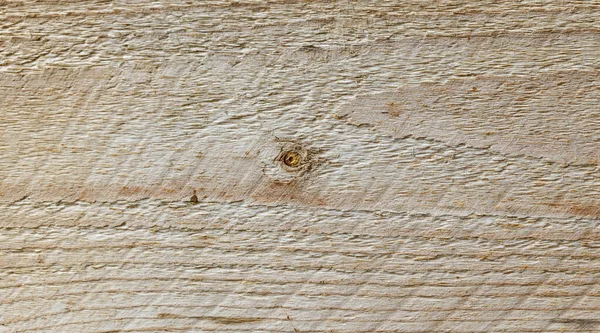 Fondo Legno Naturale Fetta Legno Consistenza Organica — Foto Stock