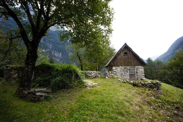 中央の山間の谷 アルプス スロベニアの前に古い木がある古い山小屋 — ストック写真