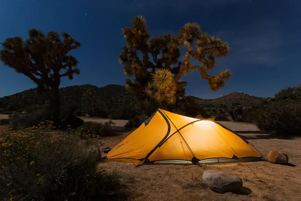 ジョシュアの木 ジョシュアの木国立公園 カリフォルニア州の夜の砂漠に投げかけられた軽量テント — ストック写真