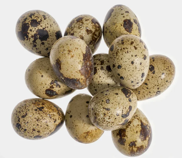 Коричневые Пернатые Яйца Белой Спине — стоковое фото