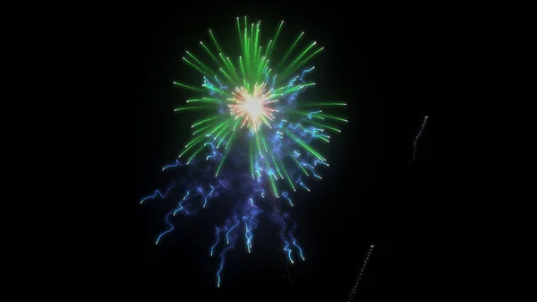 Festival Fireworks Sky Pyrotechnics Explosion — Stock Photo, Image