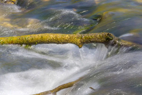 Paisaje Aire Libre Que Muestra Una Rama Rodeada Agua Corriente — Foto de Stock