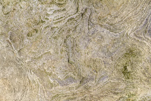 Full Frame Macro Limestone Limestone Closeup — Stock Photo, Image