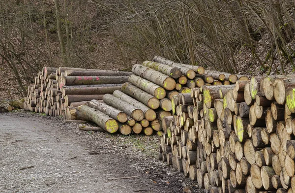 Skládané Dřevěné Hromady Kůra — Stock fotografie