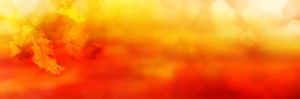 Abstract Oranje Herfst Achtergrond Met Bladeren Bokeh — Stockfoto
