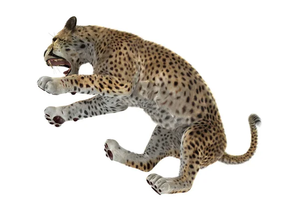 Rendering Cheetah Isolated White Background — Stock Photo, Image