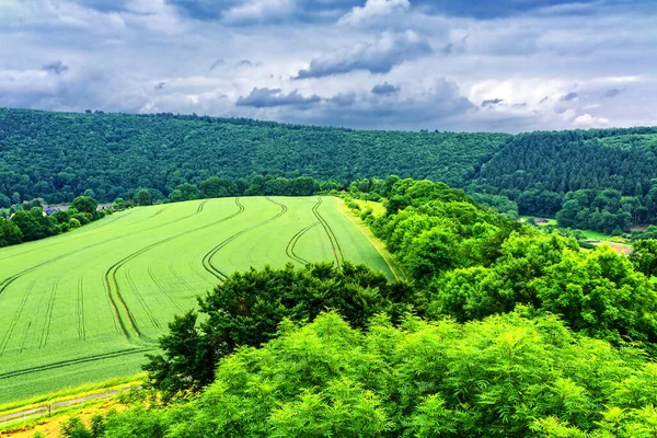 Campo Bosque Helmarshausen Hesse Edificios Selva — Foto de Stock