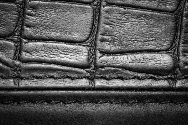 Cuero Textura Cuero Busto Cuero Artificial Textura — Foto de Stock