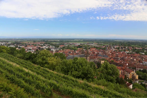 Blick Über Die Weinberge Auf Obernai Elsass — Stockfoto