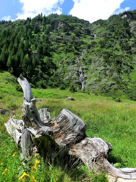 Hermosa Cascada Sobre Fondo Naturaleza — Foto de Stock