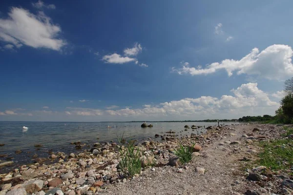 Baltık Denizi Boltenhagen Yakınlarındaki Doğal Plaj Bölge Onarımı Kuzeybatı Mecklenburg — Stok fotoğraf