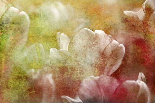 Tulpen Textuur Concept Verdriet Achtergrond Retro Oud — Stockfoto