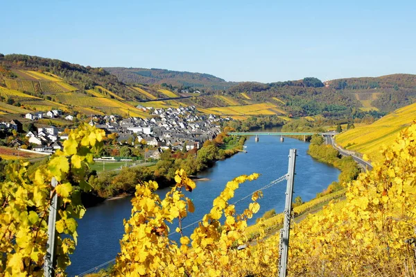 Village Viticole Reil Sur Moselle Automne — Photo