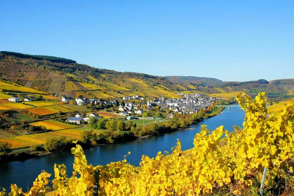 Vin Reil Mosel Höst — Stockfoto