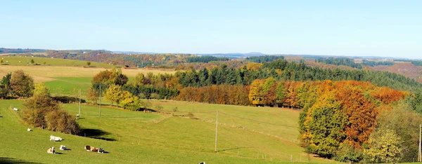 Colorful Eifel Landscape Bad Bertrich Panorama Autumn — Foto de Stock