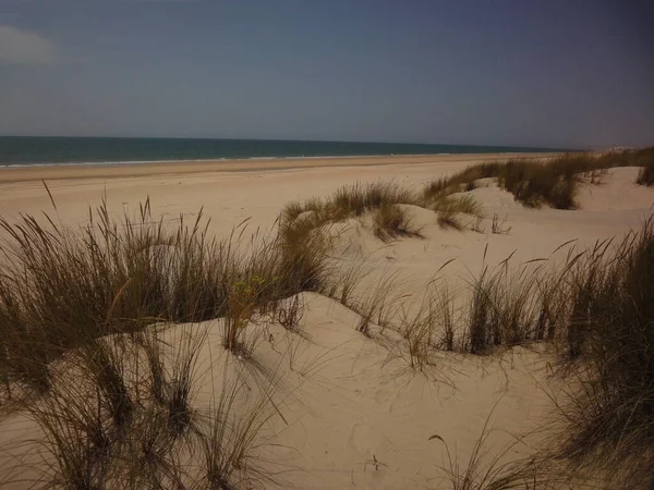 Dunes Donana National Park Spanish Atlantic Coast Stock Picture