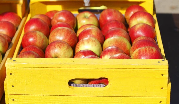 Fresh Red Apples Wooden Box Market Stall Oldenburg Oldenburg Lower — Stock Photo, Image