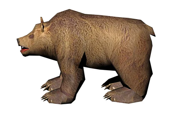 Καφέ Αρκούδα Μαύρη Αρκούδα Απελευθερώθηκε — Φωτογραφία Αρχείου
