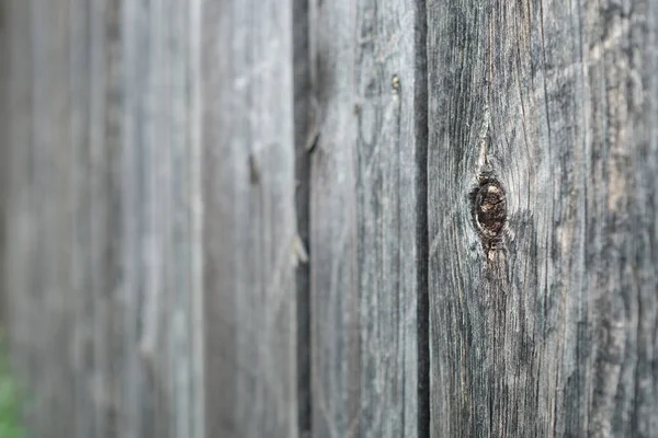 Szürke Fal Tábla Knothole Elmosódott Háttérben — Stock Fotó