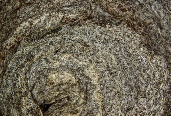 Mur Nid Guêpes Avec Des Fibres Agrandies — Photo