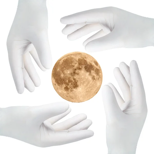 Quatre Mains Gants Penchent Pour Lune Devant Fond Blanc — Photo