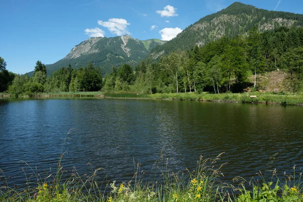 Λιμνούλα Moor Κοντά Στο Oberstdorf Schattenberg Και Gaisalphorn — Φωτογραφία Αρχείου