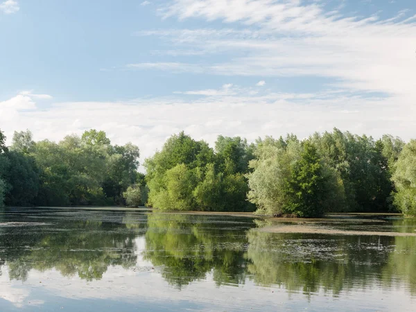 Prachtig Uitzicht Het Zomermeer Met Bomen Wolken Algen Reflecties — Stockfoto