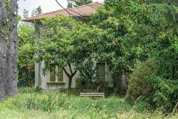 Sommar Vid Gardasjön — Stockfoto